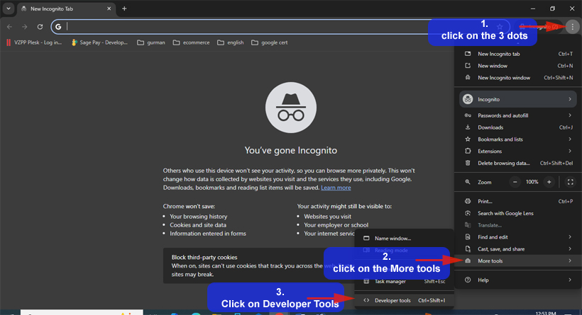 Chrome Option for Developer Tool